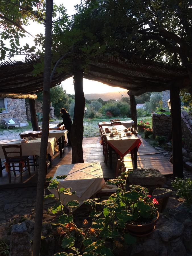 Agriturismo Il Muto Di Gallura Aggius Exterior photo