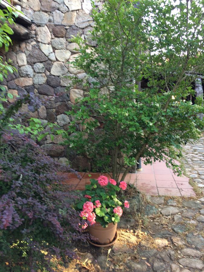 Agriturismo Il Muto Di Gallura Aggius Exterior photo